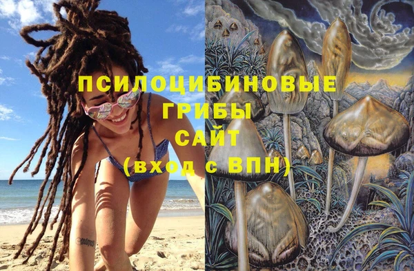 крисы Алексин