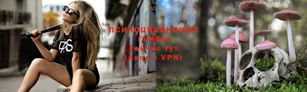 дмт Алзамай