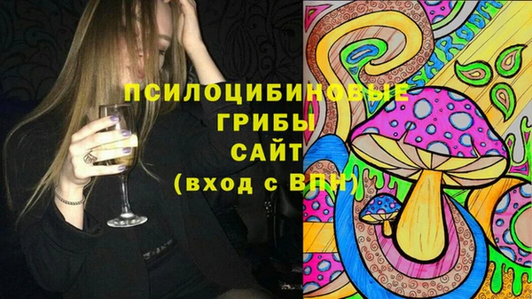дмт Алзамай