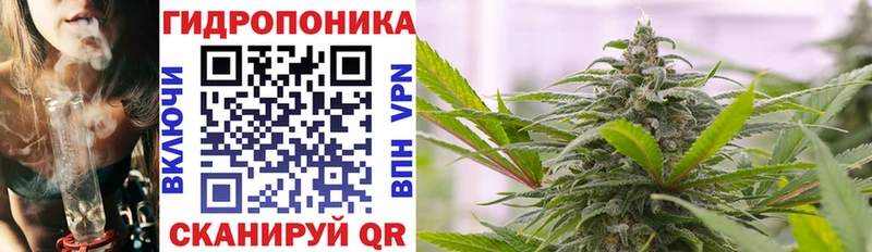 blacksprut как войти  Глазов  Конопля White Widow 